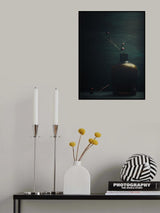 Poster och Canvastavla
