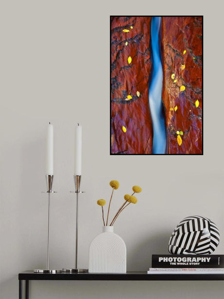 Reflection Poster och Canvastavla
