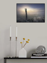 Free? Poster och Canvastavla