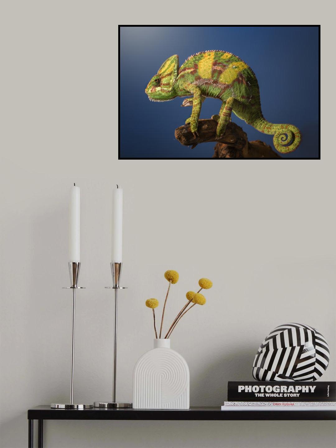 Curro Poster och Canvastavla