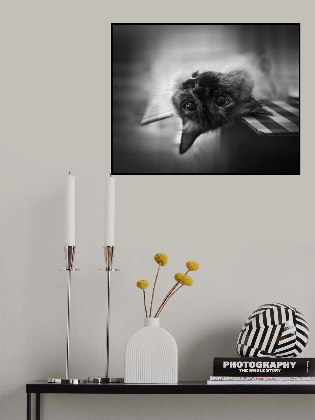 upside down Poster och Canvastavla