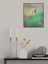 Pinnacle Poster och Canvastavla