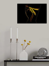 Two on one Poster och Canvastavla