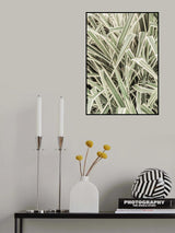 Jazzy Jungle Poster och Canvastavla