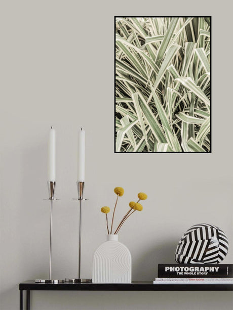 Jazzy Jungle Poster och Canvastavla
