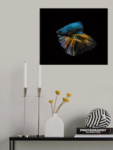 Half turn Poster och Canvastavla