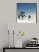 winter haiku Poster och Canvastavla