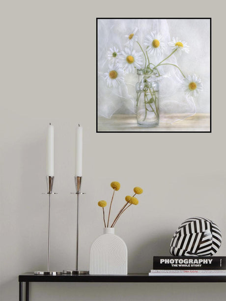 Daisies Poster och Canvastavla