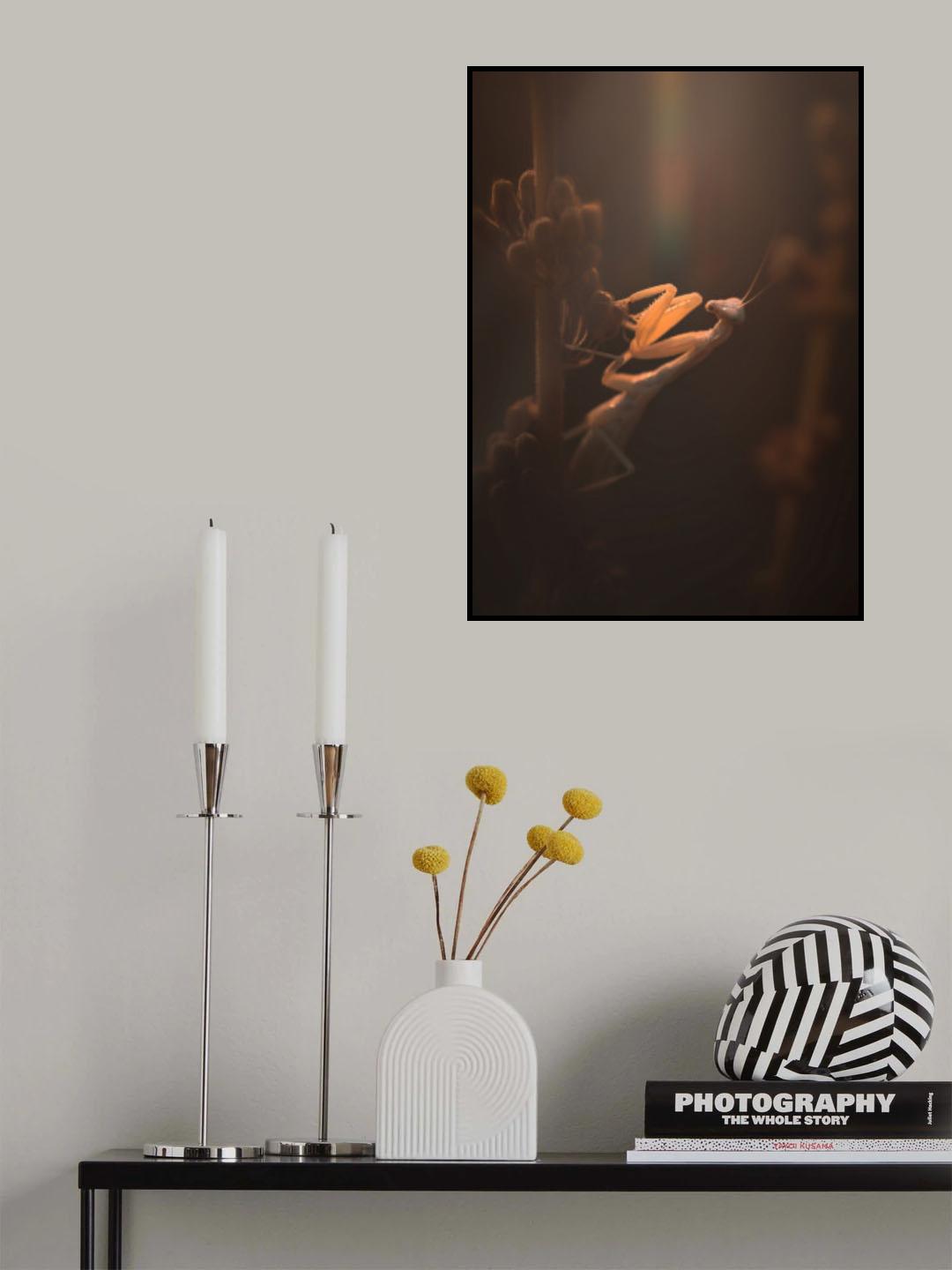 The Mantis Sunset! Poster och Canvastavla