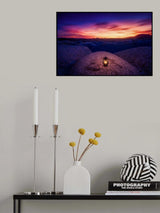 Among lanterns Poster och Canvastavla