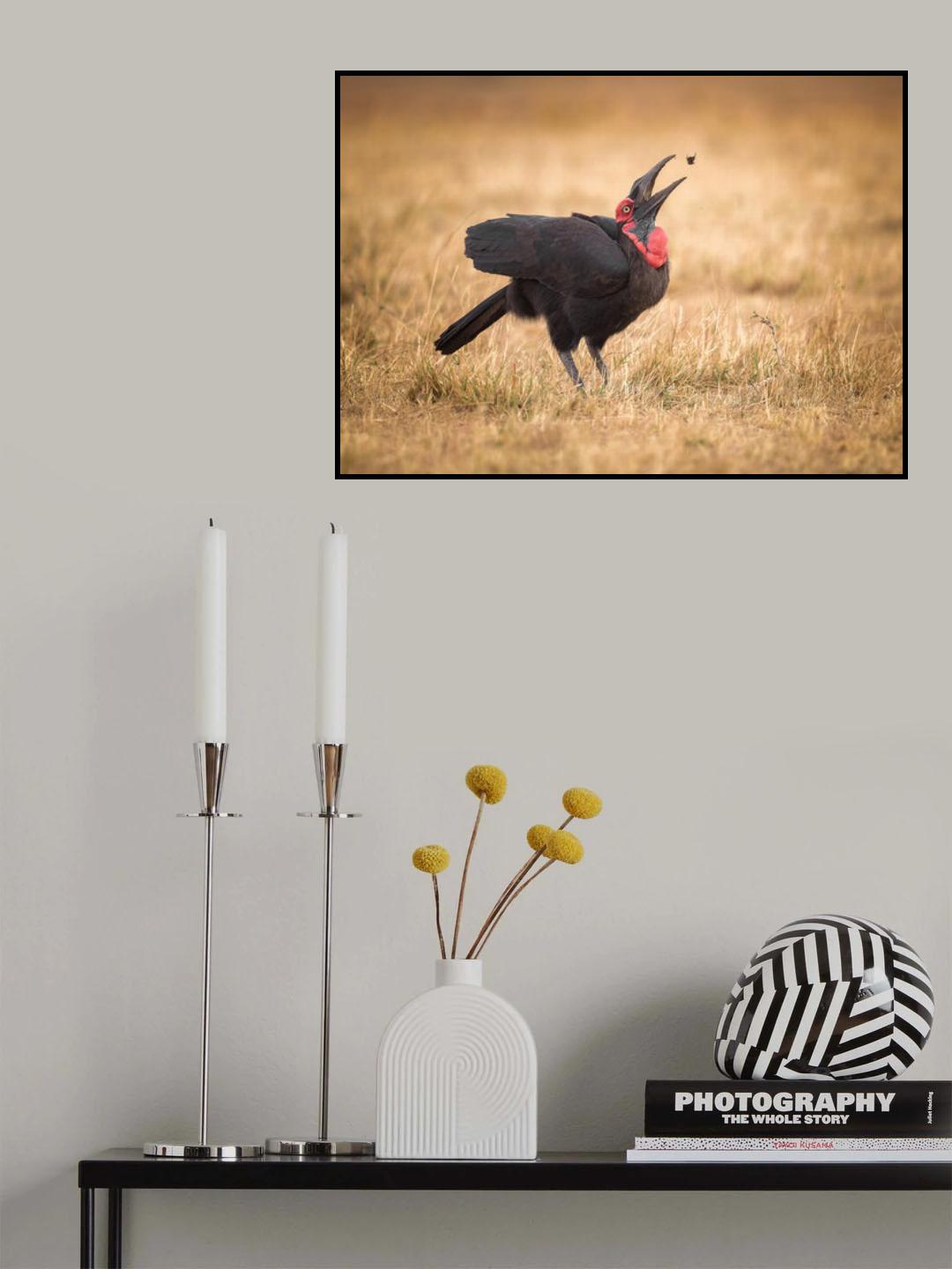 Catch it Poster och Canvastavla