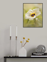 Blossoming Beauty Poster och Canvastavla