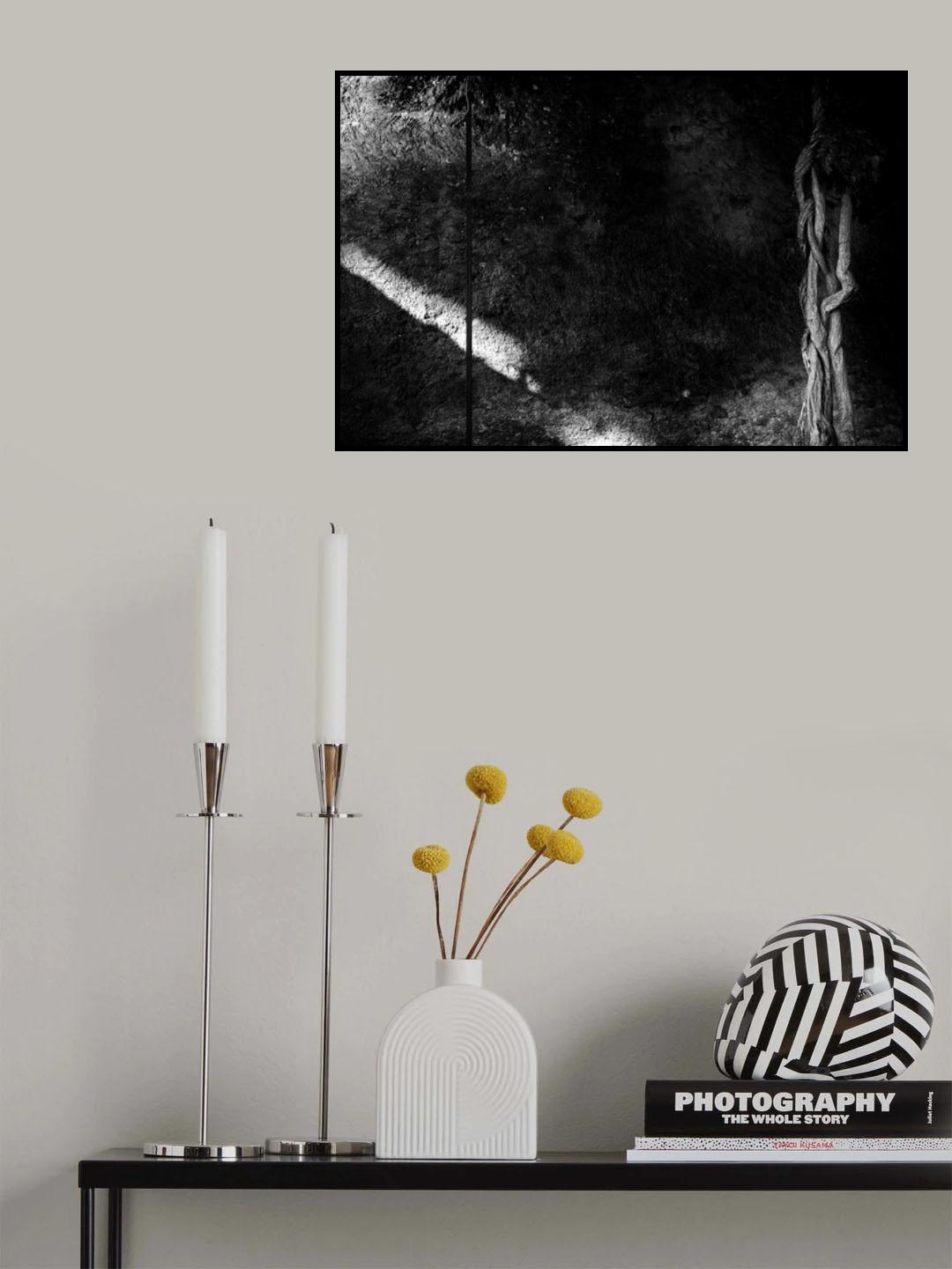 my secret garden (2/4) Poster och Canvastavla
