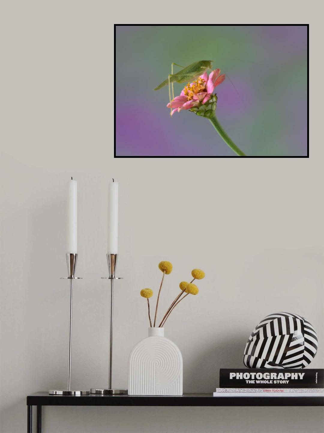 On the Flower. Poster och Canvastavla