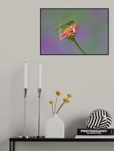 On the Flower. Poster och Canvastavla