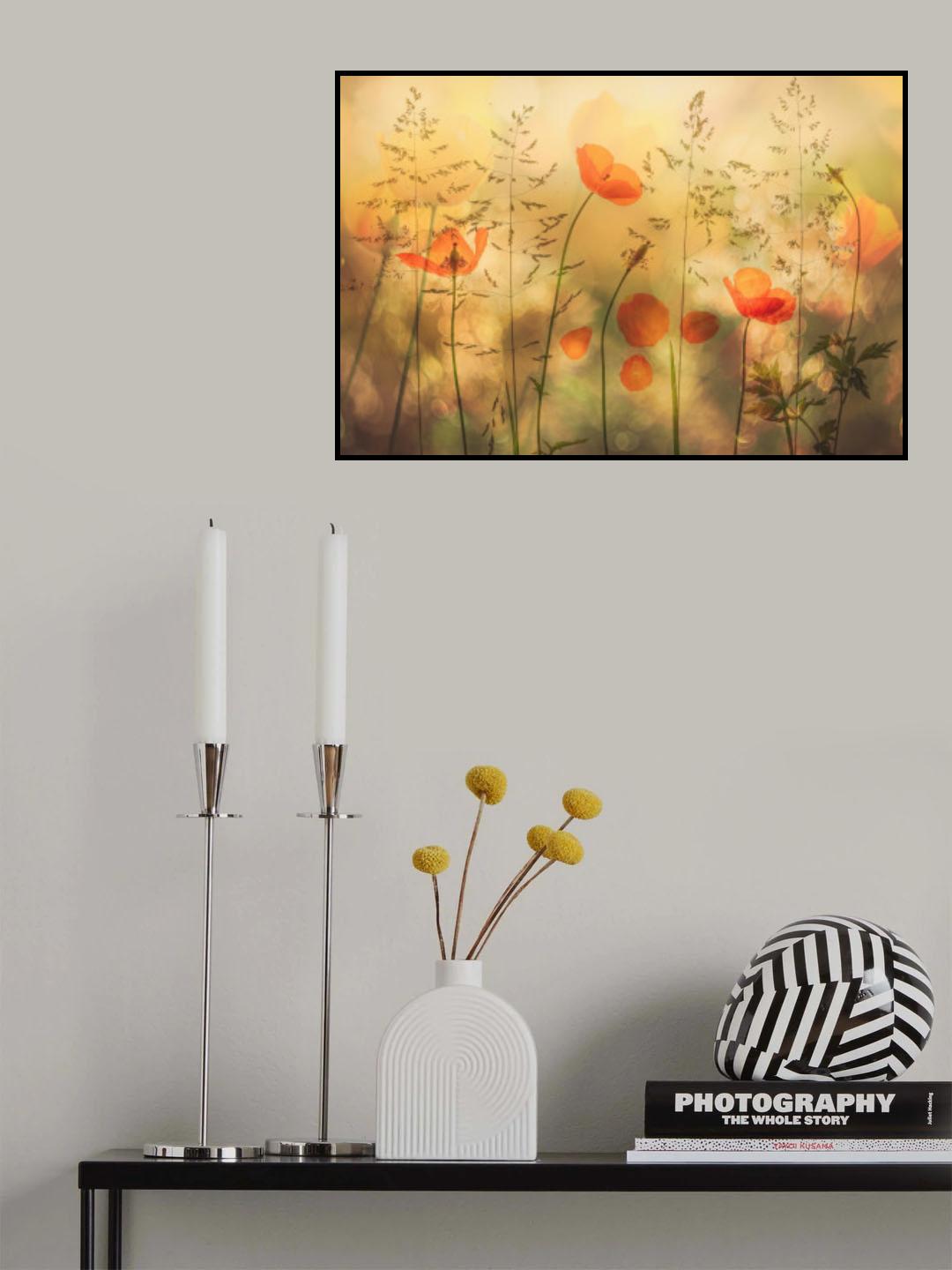dancing in grass Poster och Canvastavla