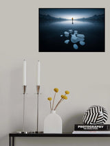 Frozen Planet Poster och Canvastavla
