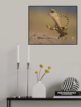 Monitor lizards Poster och Canvastavla
