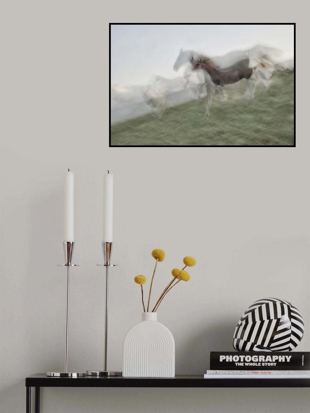 Horse Sequence Poster och Canvastavla