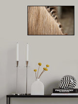Horse 5 Dsc5498 Copy Poster och Canvastavla
