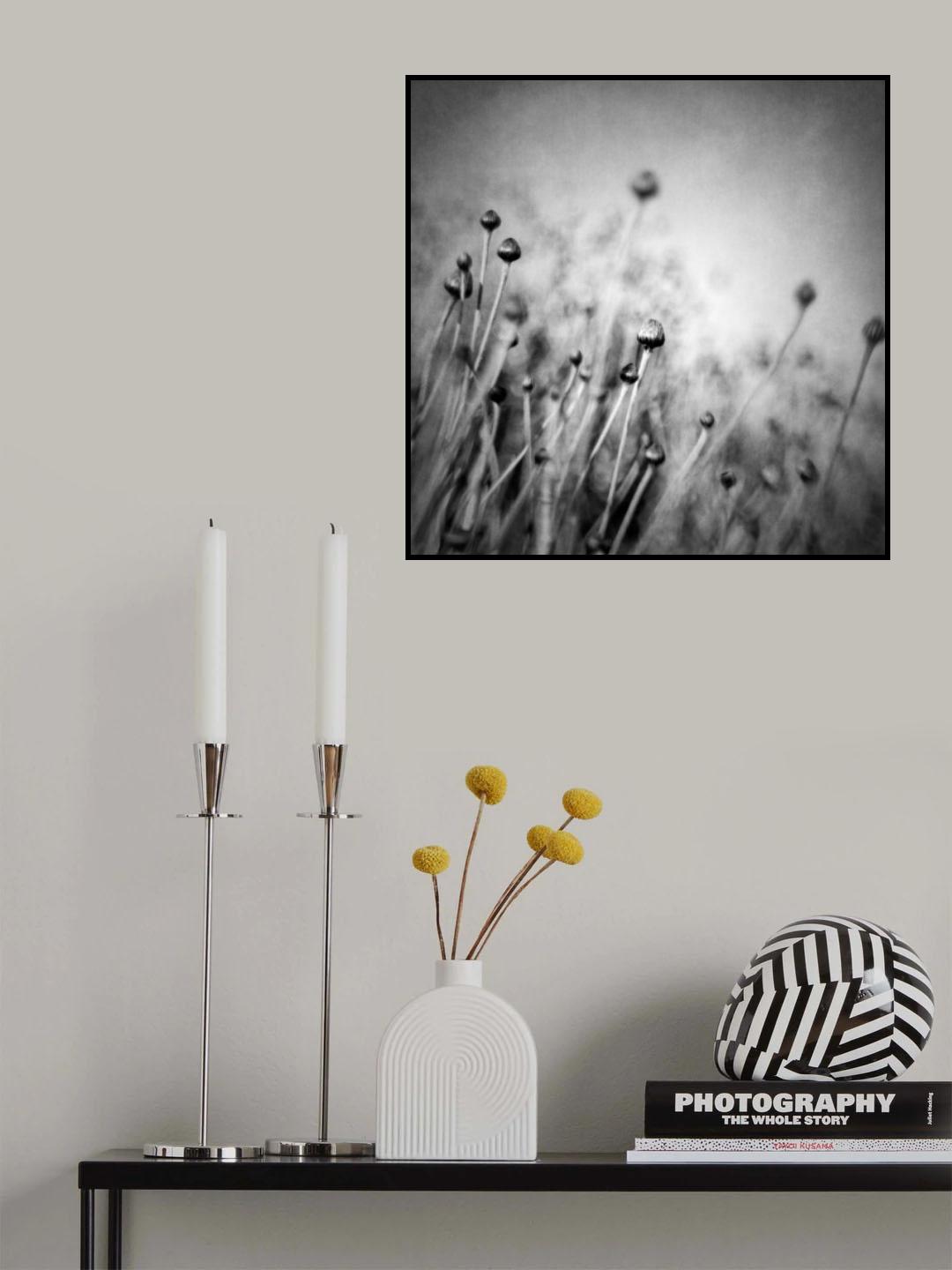 Blossom expectation Poster och Canvastavla