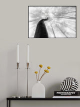 Treetrunk Poster och Canvastavla