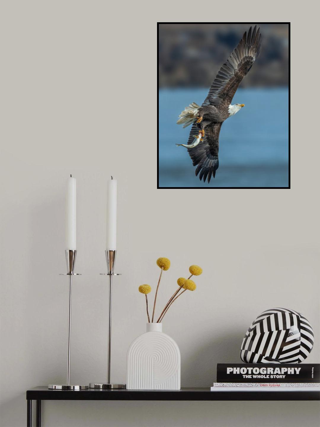 Poster och Canvastavla