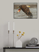 Poster och Canvastavla