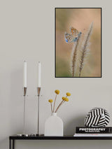 2+2 Poster och Canvastavla