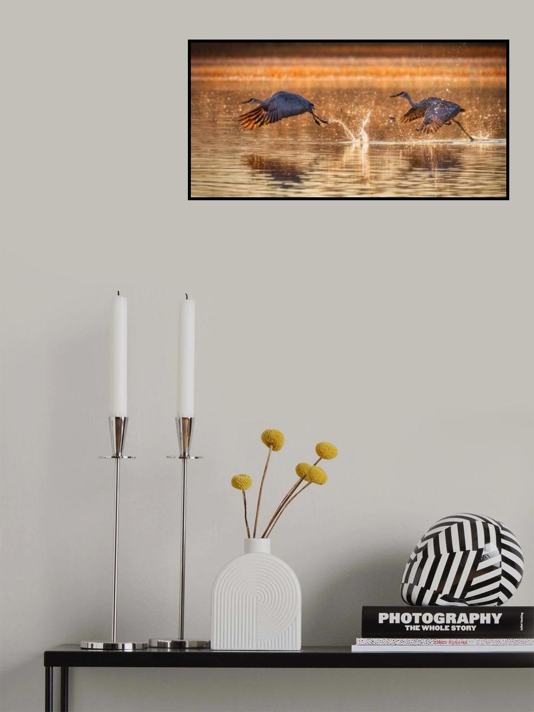 Water Ballet Poster och Canvastavla