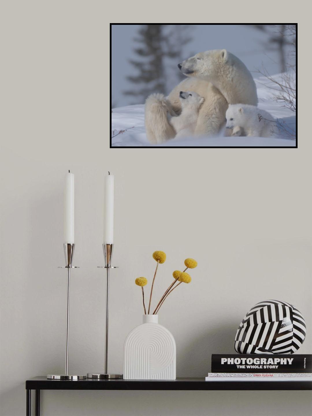 Mum and cubs Poster och Canvastavla