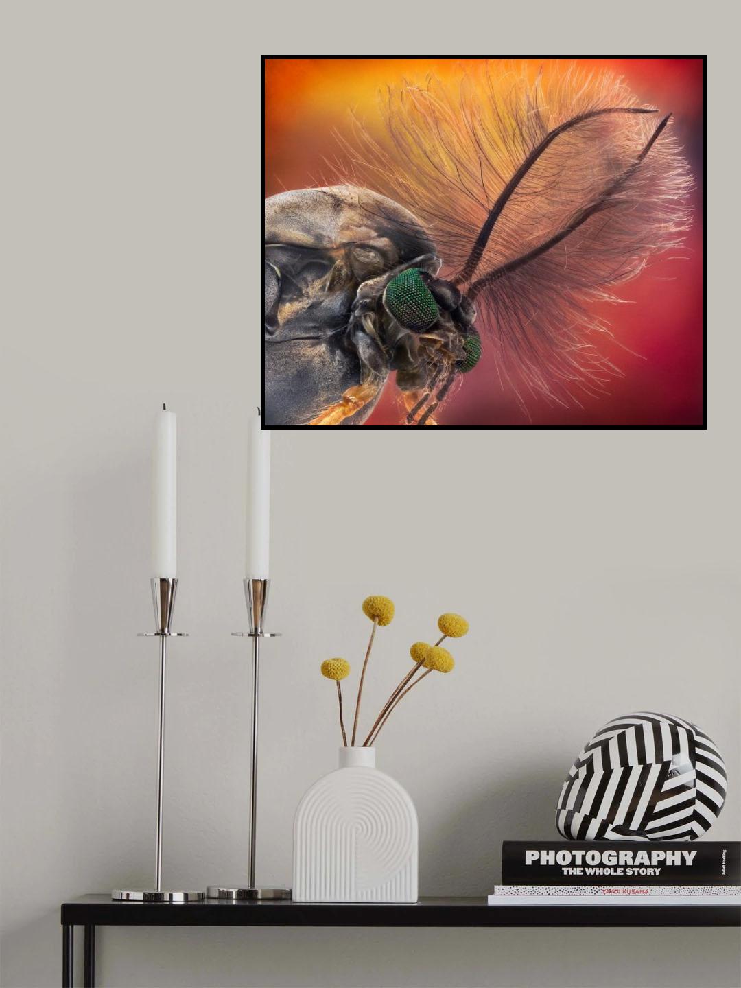 Duster Head - Chironomus sp. Poster och Canvastavla
