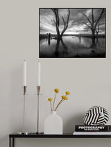 Wilderness old tree Poster och Canvastavla