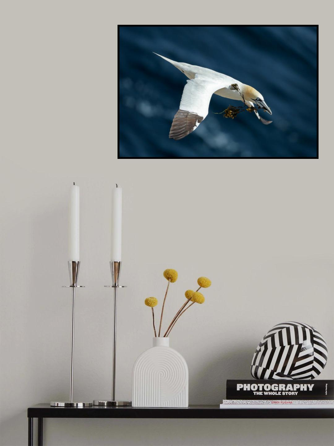 Plummeting Poster och Canvastavla