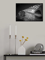 Lines and curves Poster och Canvastavla