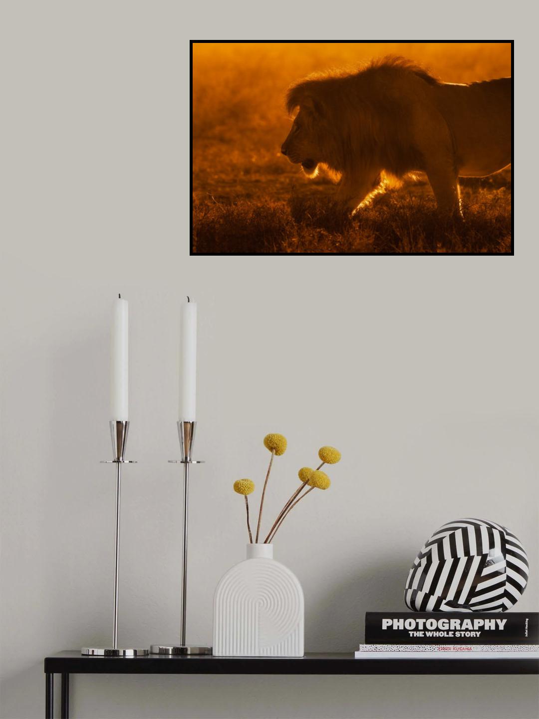 Shiny King Poster och Canvastavla