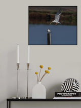 Hunger for Breakfast Poster och Canvastavla