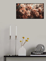 Coral Wild Peony Poster och Canvastavla