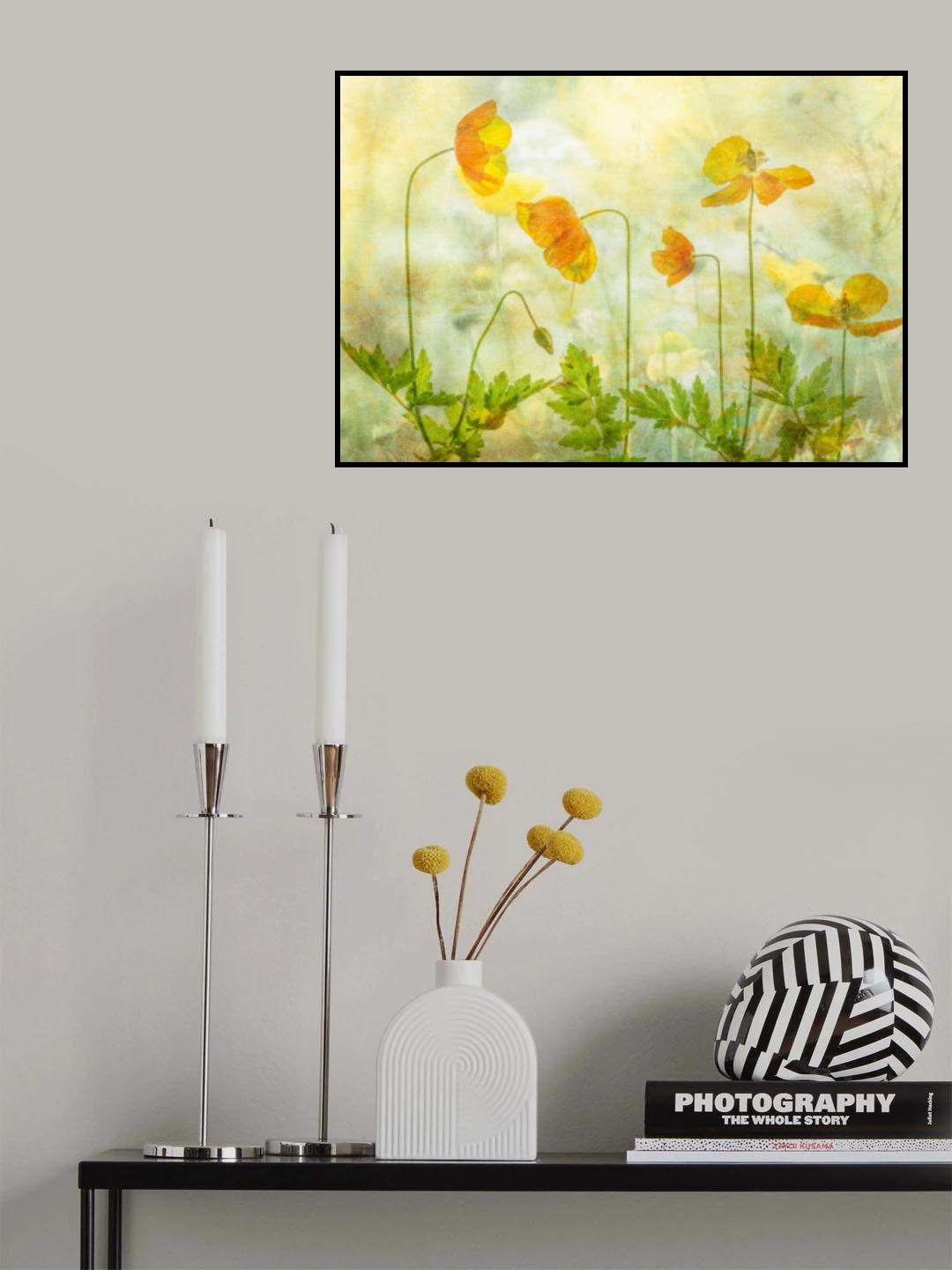 Lime &amp; orange Poster och Canvastavla