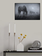 Moonlit Poster och Canvastavla
