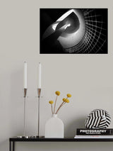 Under the Mushroom Poster och Canvastavla