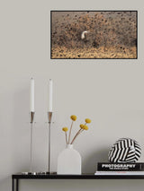 Rush Through Poster och Canvastavla