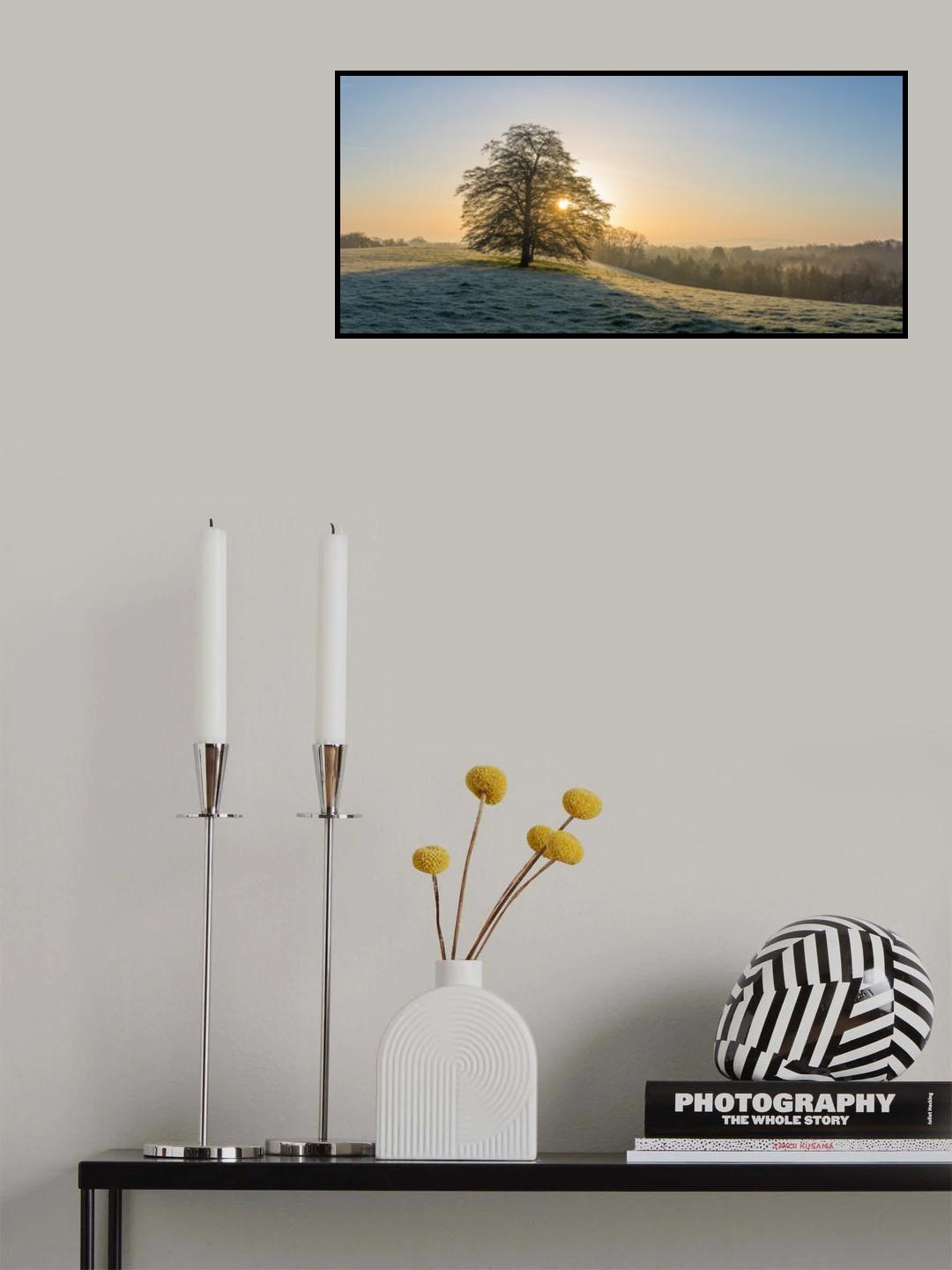 Early morning Poster och Canvastavla