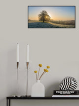 Early morning Poster och Canvastavla