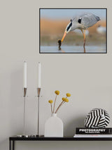 Catching Poster och Canvastavla