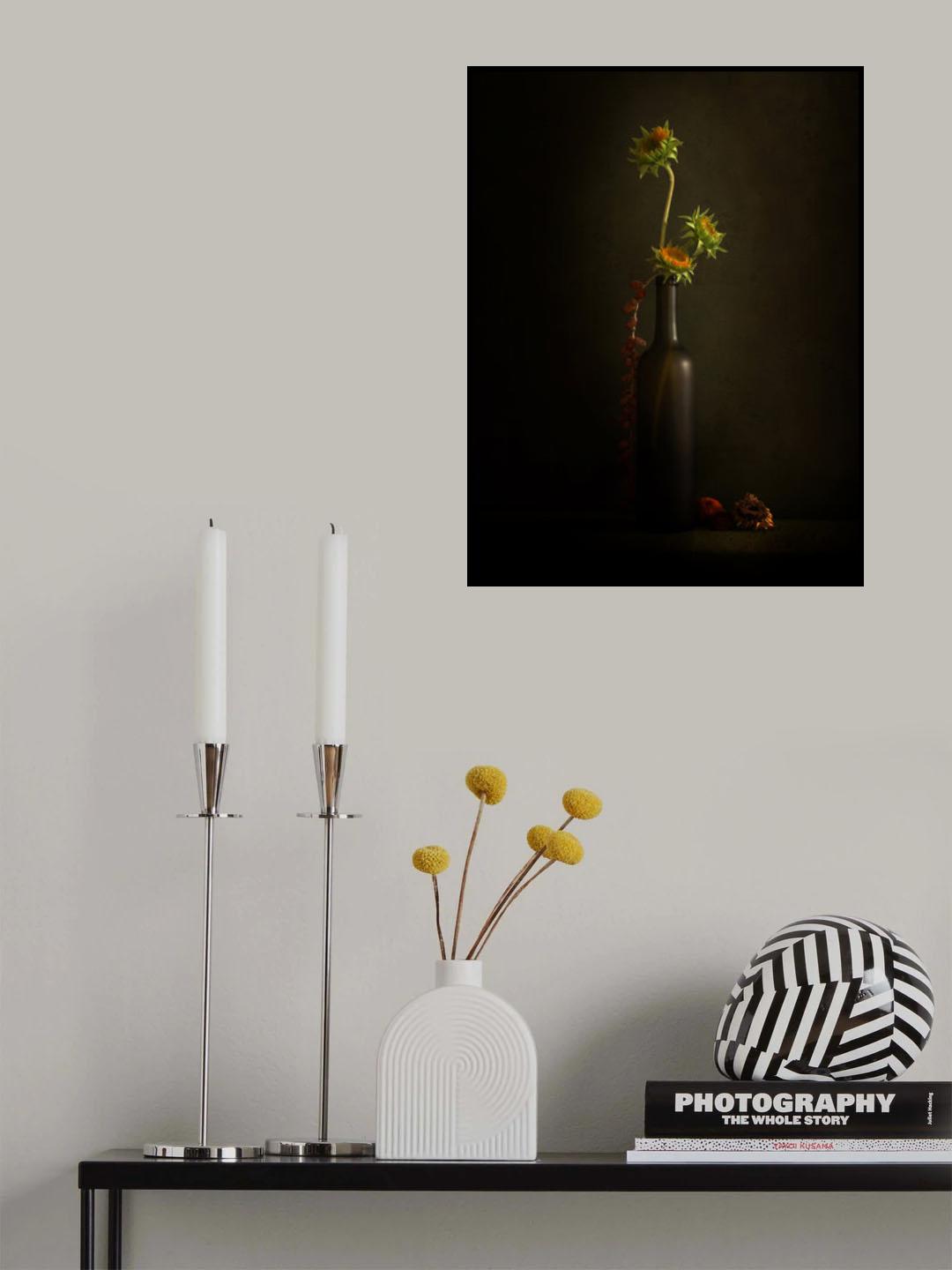 Last Light Poster och Canvastavla