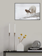 Run baby run! Poster och Canvastavla