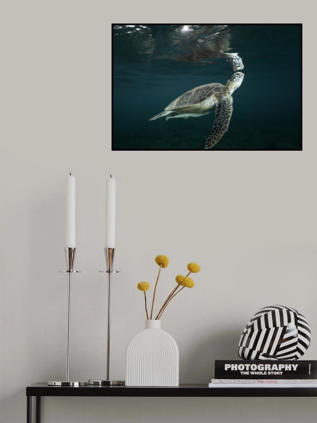 Miror miror Poster och Canvastavla