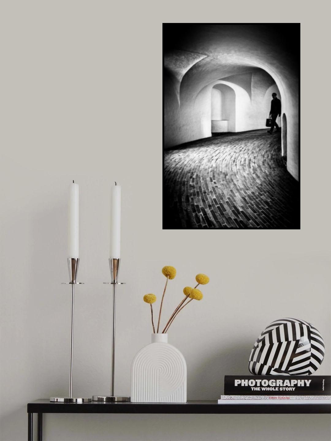 Copenhagen BW - study I Poster och Canvastavla