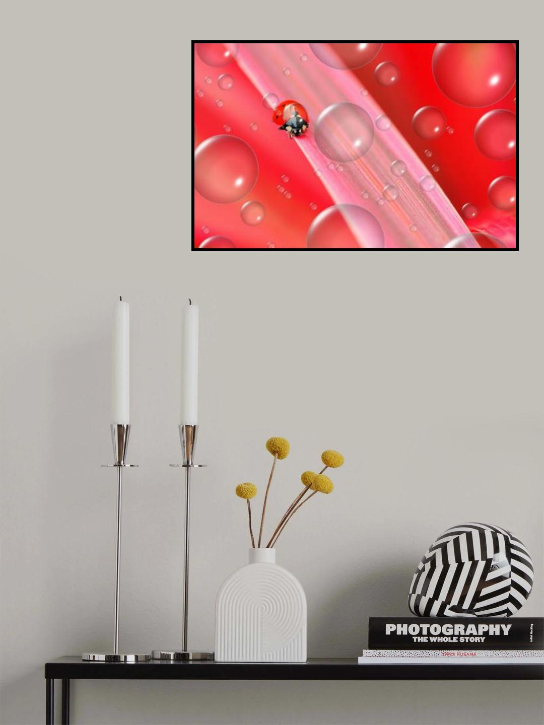 The lady in red... Poster och Canvastavla